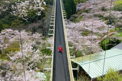 ふてくされる
