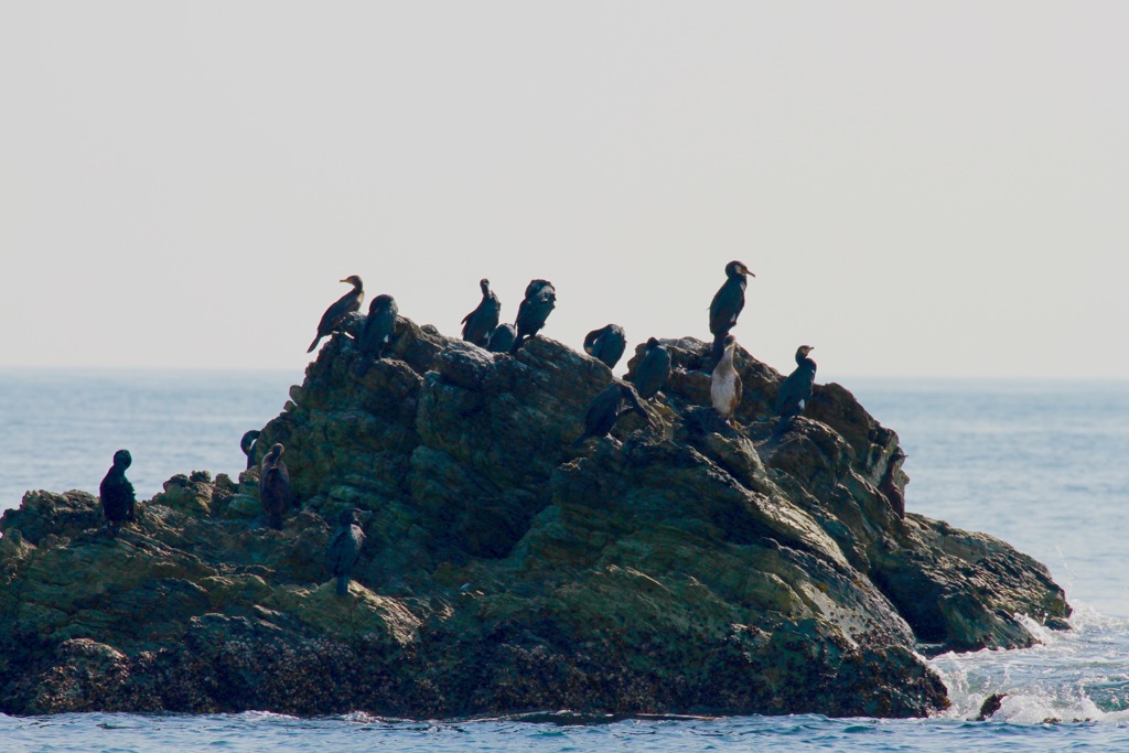マッタリ待ったり、、、
