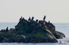 マッタリ待ったり、、、