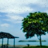 にわか雨