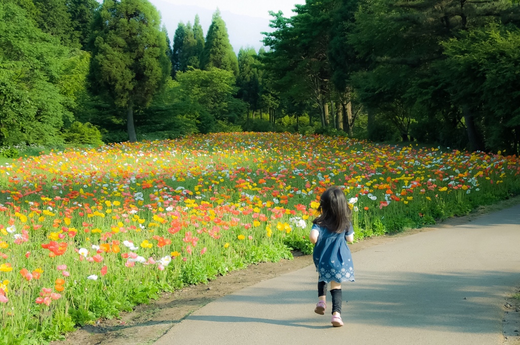 お花畑だ♪ Go Go‼︎