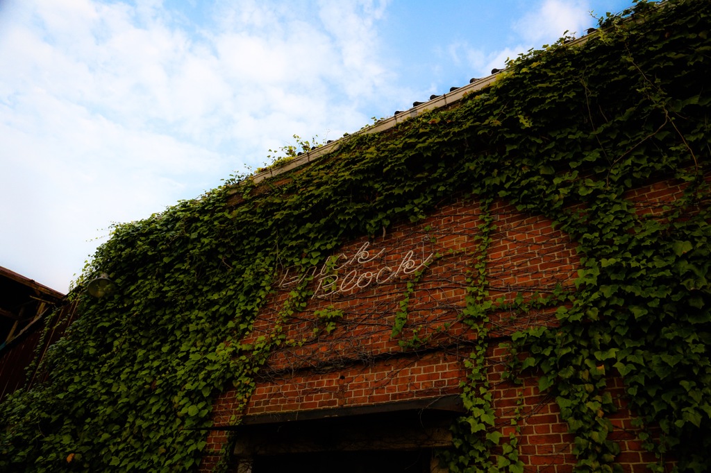 ブリックブロック