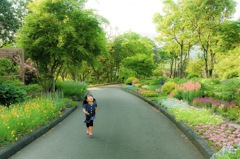 花園からの帰り道
