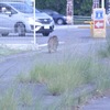 フロントガラスごしの風景2