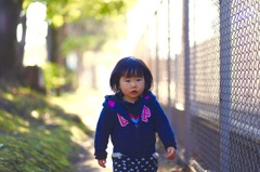 フェンスぎわ捜索