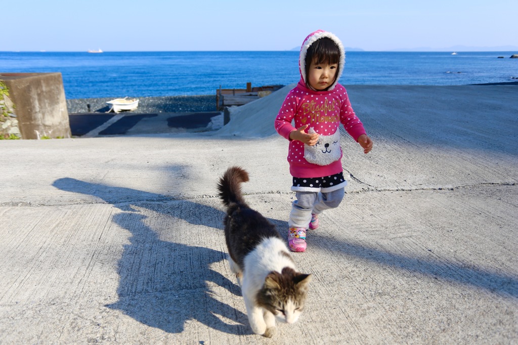 負けられニャイわ！