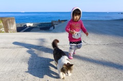 負けられニャイわ！