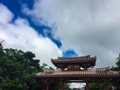 時間がない(-｡-;