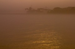 汽水域の霧の朝