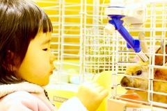 ウチの子になりたいの？