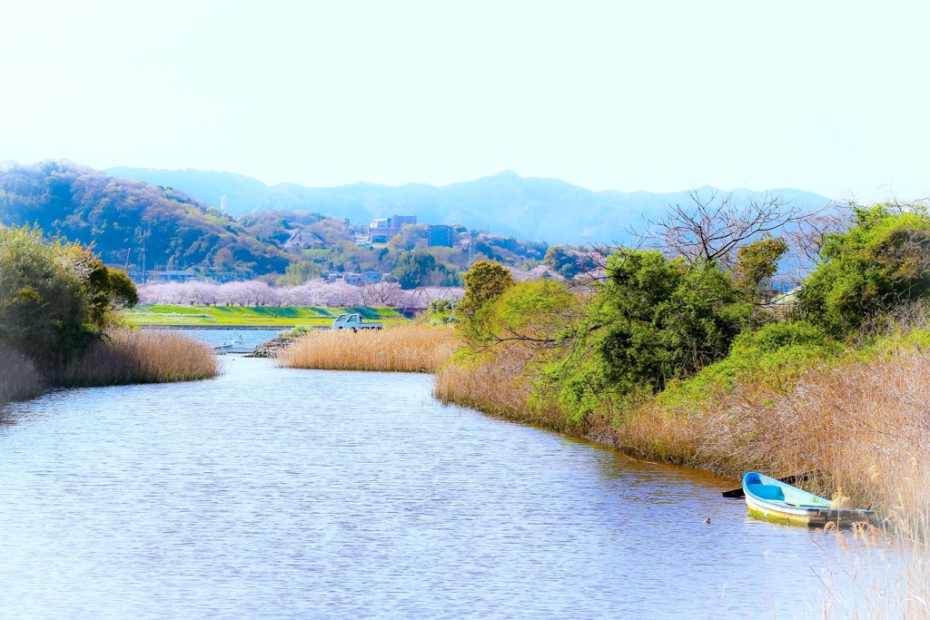 クリークの向こう側