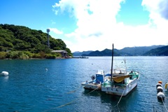 リアスな海辺の風景