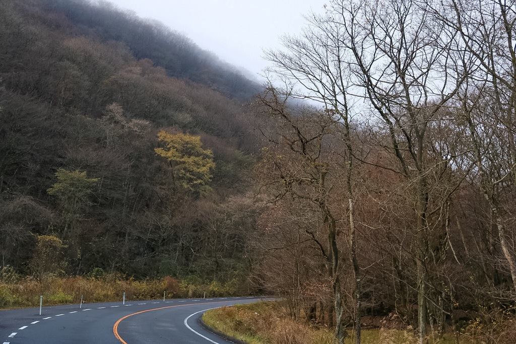 由布岳へ