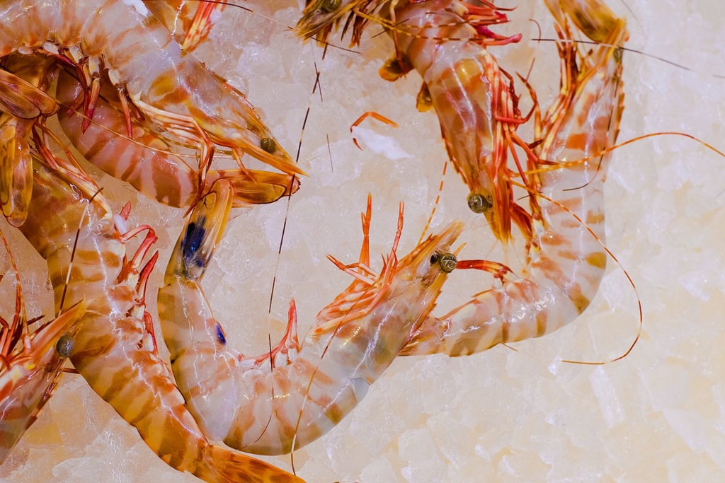 スーパータイガー