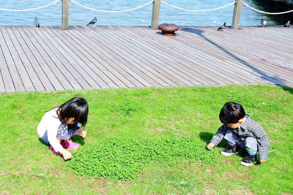 シアワセも探すひと