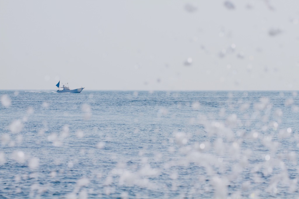 一旦帰って昼食べて出直す船