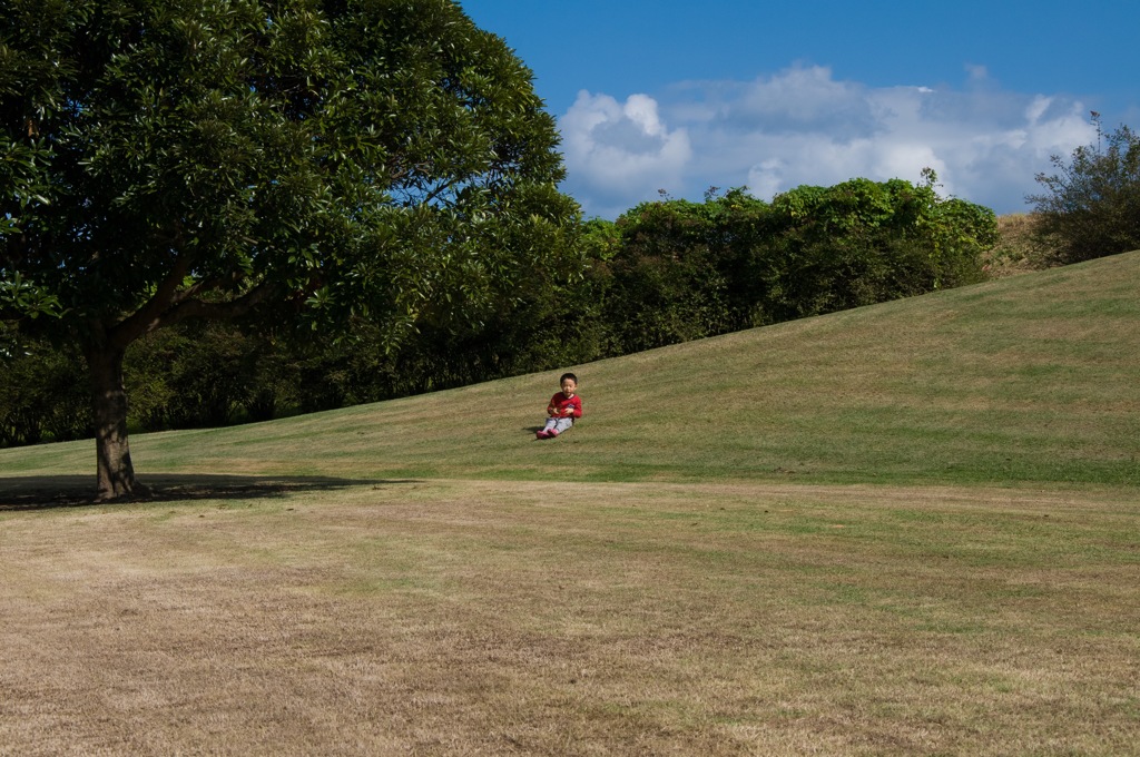 草スキーをアピール