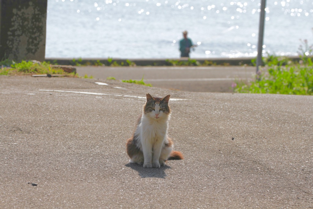 おなか空いたんですけど、、、