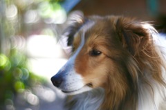 せつないわ、、、