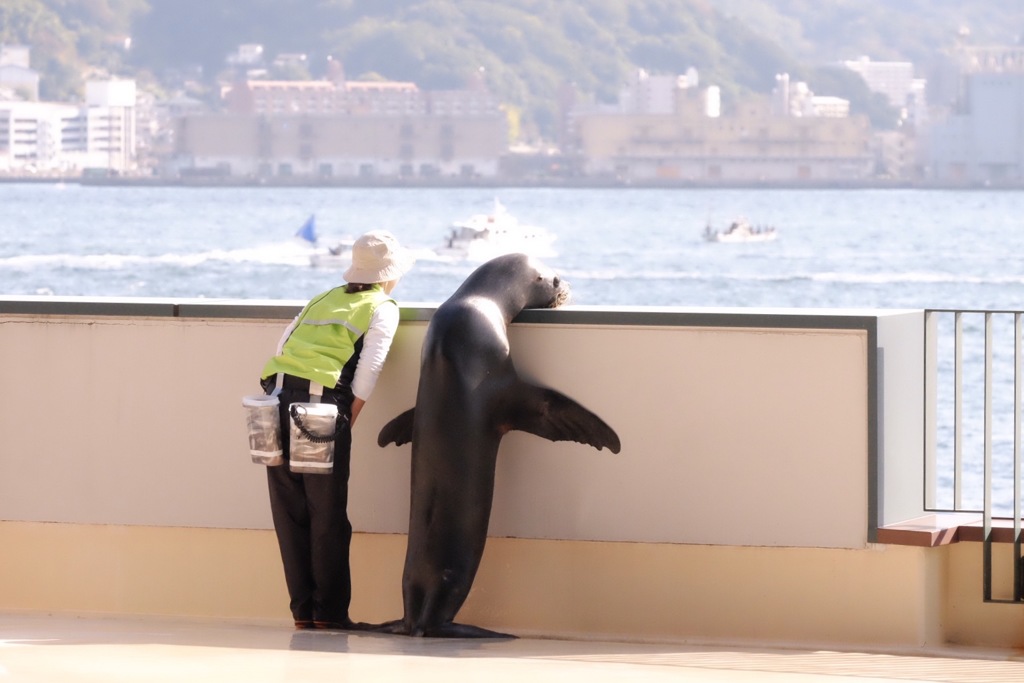 いー天気だな〜♪