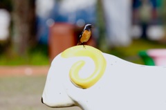 銀、、、しーろの龍の背にのって〜♪ドヤーっ！