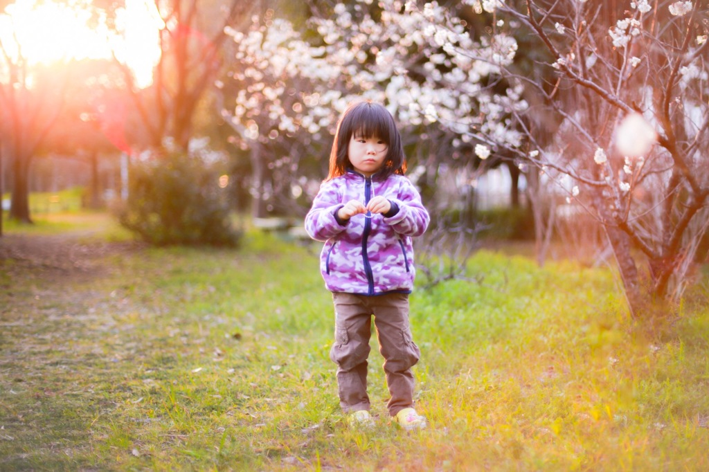 Ume