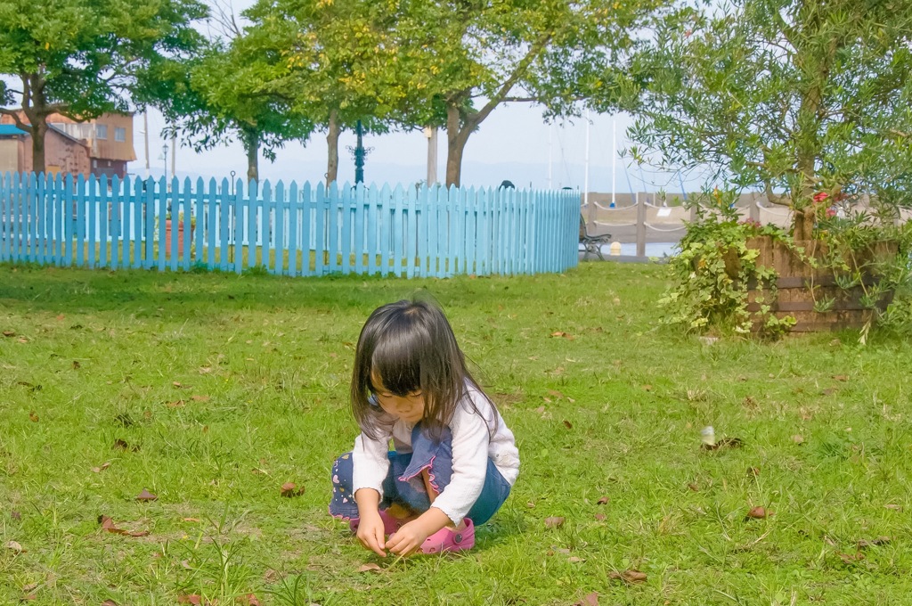 ハトのエサをさがすひと
