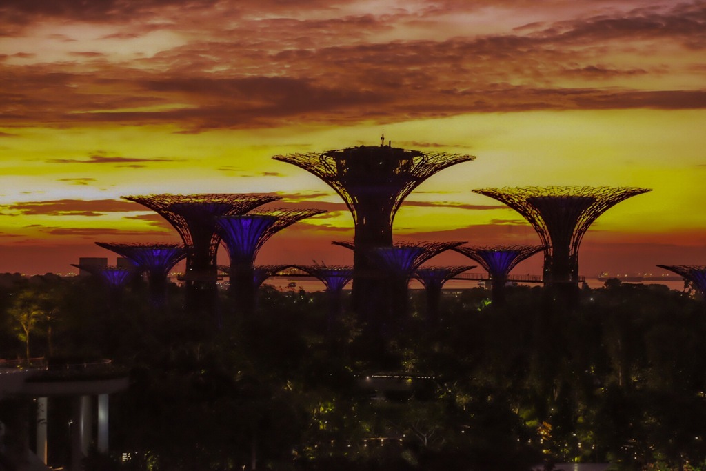 目覚めの風景