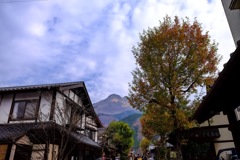 湯布院 メインストリート