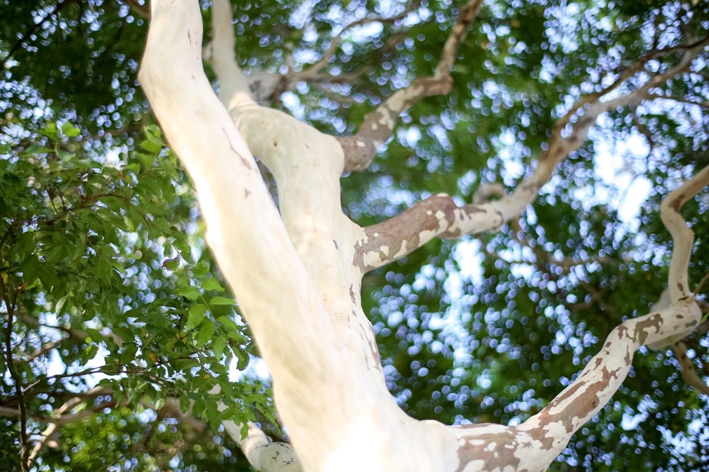 すべるよねー！確かに