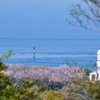 関崎燈台