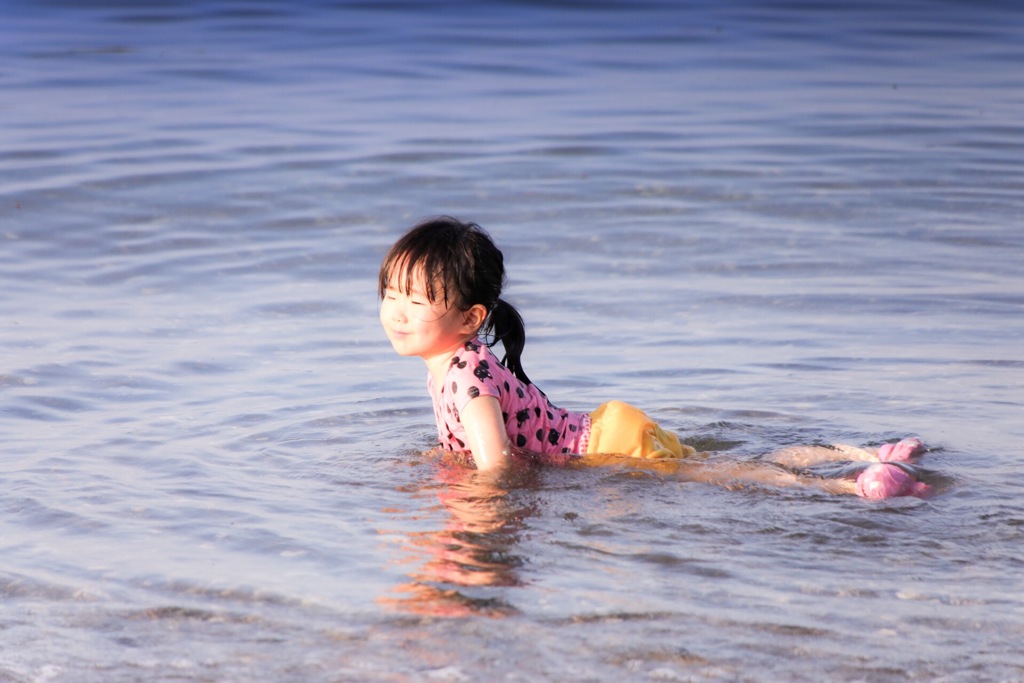 子アザラシ遊泳中