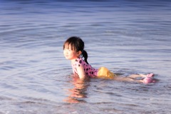 子アザラシ遊泳中