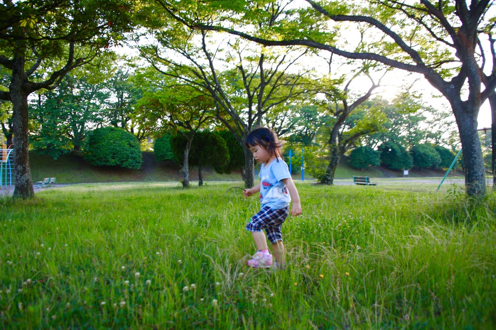 公園の幼女