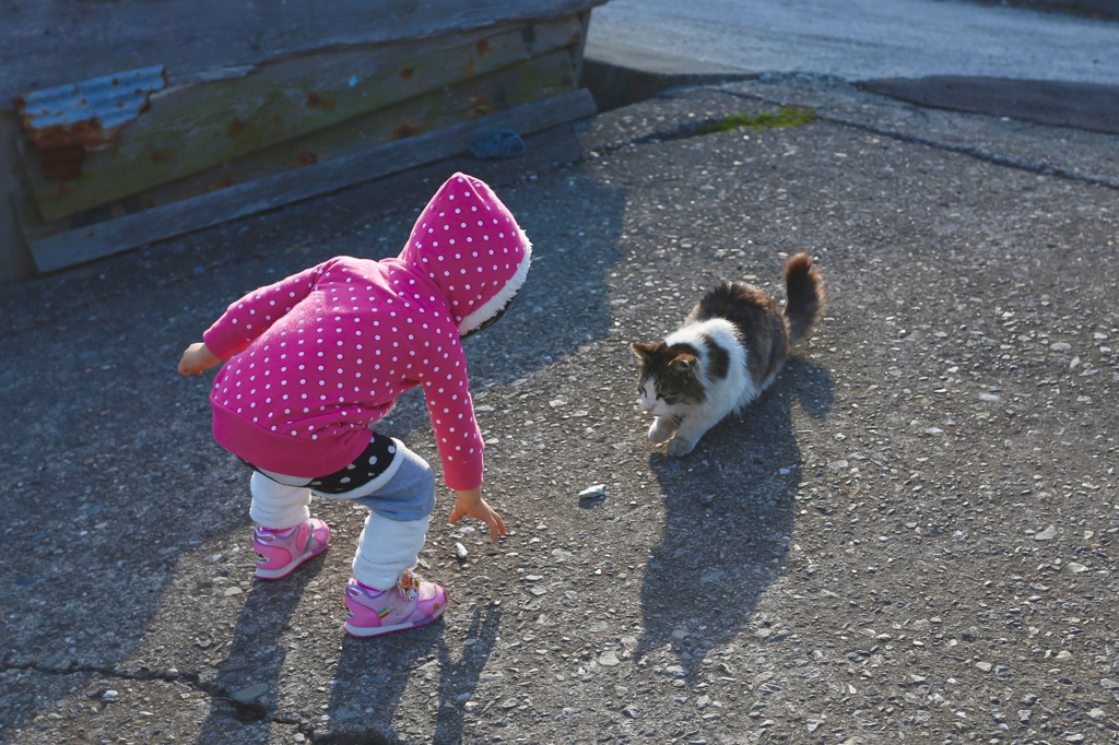 ハイ、コレあげるっ！