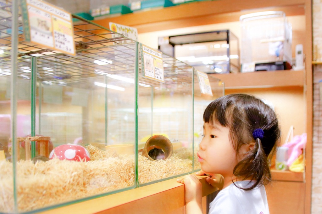 なにしてるの？