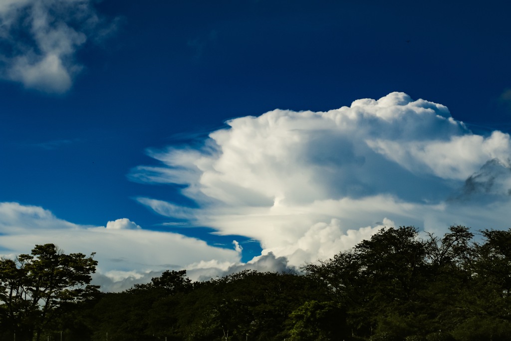 公園の夏空