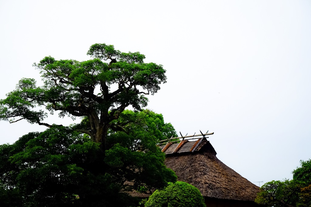 日本人なら誰でも知ってる人の実家