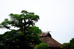 日本人なら誰でも知ってる人の実家