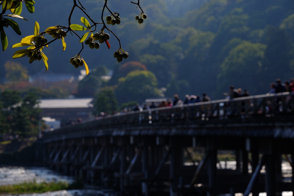 渡らなかった渡月橋
