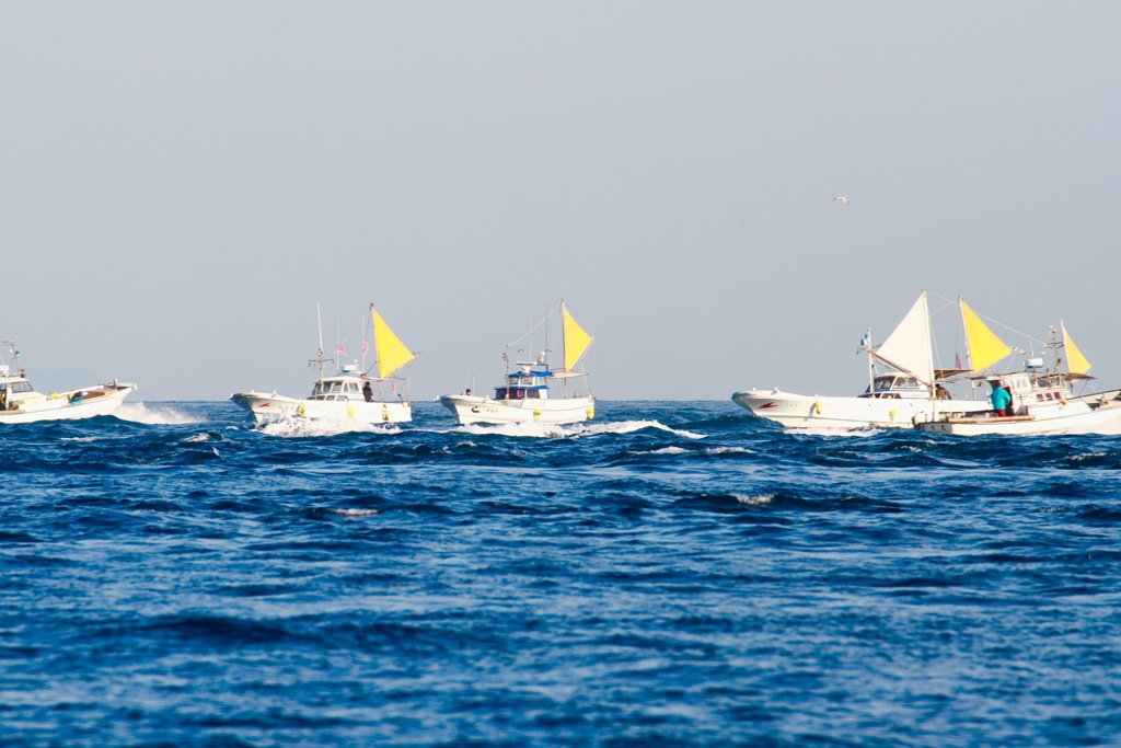 たまにぶつかります