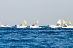 たまにぶつかります