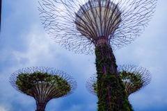 Garden by the Bay