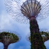 Garden by the Bay