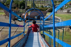 振り返らない息子