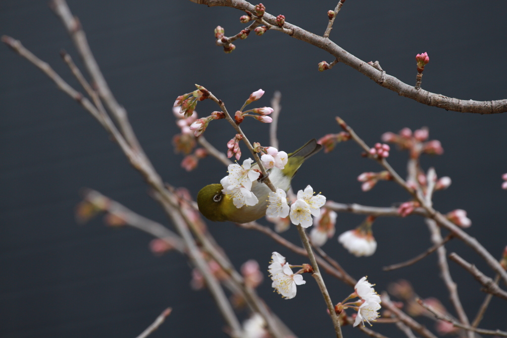 灯台元暗しψ(｀∇´)ψ