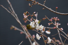 灯台元暗しψ(｀∇´)ψ