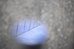 んーっ！誰か呼んだー？