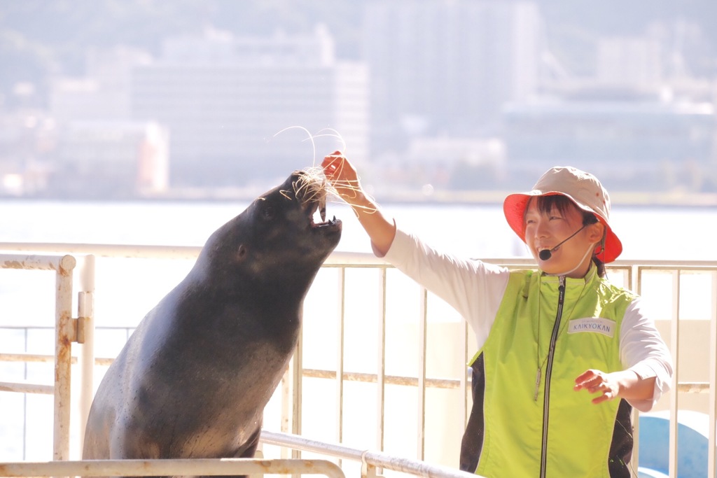 ご褒美いただきます♪