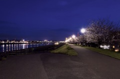 夜のお散歩コース